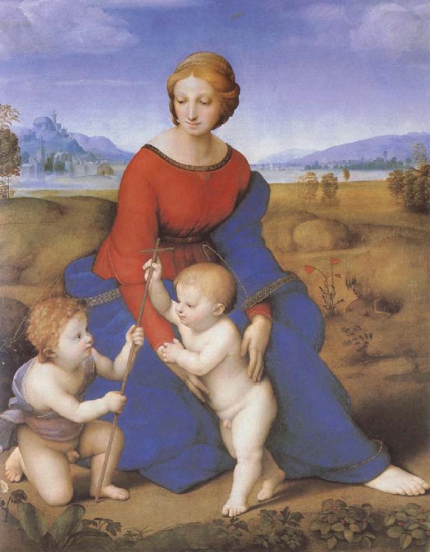 RAFFAELLO Sanzio The virgin mary  on the grass oil painting image
